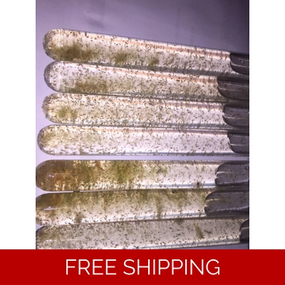 copepod upgraded postage by prior agreement only